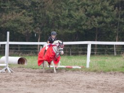 IMG_8031_web
